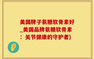 美国牌子氨糖软骨素好_美国品牌氨糖软骨素：关节健康的守护者)