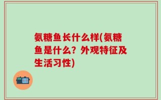 氨糖鱼长什么样(氨糖鱼是什么？外观特征及生活习性)