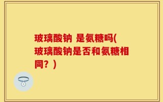 玻璃酸钠 是氨糖吗(玻璃酸钠是否和氨糖相同？)