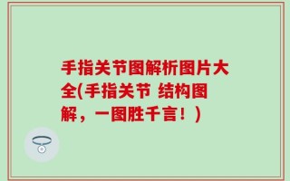 手指关节图解析图片大全(手指关节 结构图解，一图胜千言！)
