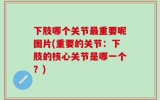 下肢哪个关节最重要呢图片(重要的关节：下肢的核心关节是哪一个？)
