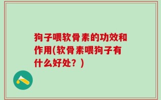 狗子喂软骨素的功效和作用(软骨素喂狗子有什么好处？)