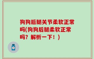 狗狗后腿关节柔软正常吗(狗狗后腿柔软正常吗？解析一下！)