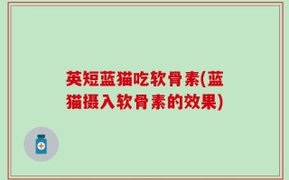 英短蓝猫吃软骨素(蓝猫摄入软骨素的效果)