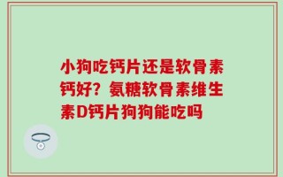 小狗吃钙片还是软骨素钙好？氨糖软骨素维生素D钙片狗狗能吃吗