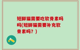 短脚猫需要吃软骨素吗吗(短脚猫需要补充软骨素吗？)