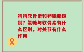 狗狗软骨素和卵磷脂区别？氨糖与软骨素有什么区别，对关节有什么作用