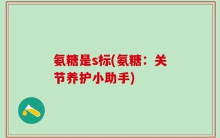 氨糖是s标(氨糖：关节养护小助手)