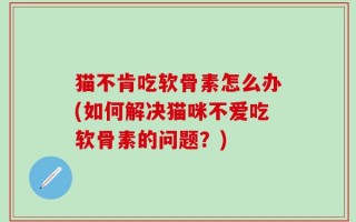猫不肯吃软骨素怎么办(如何解决猫咪不爱吃软骨素的问题？)