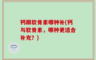 钙跟软骨素哪种补(钙与软骨素，哪种更适合补充？)