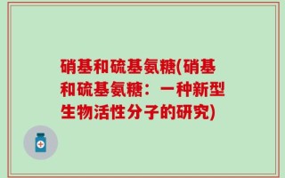 硝基和硫基氨糖(硝基和硫基氨糖：一种新型生物活性分子的研究)