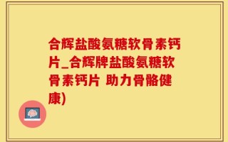 合辉盐酸氨糖软骨素钙片_合辉牌盐酸氨糖软骨素钙片 助力骨骼健康)