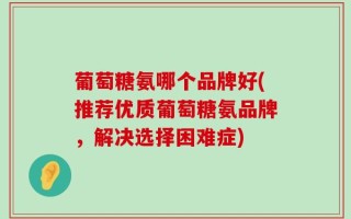 葡萄糖氨哪个品牌好(推荐优质葡萄糖氨品牌，解决选择困难症)