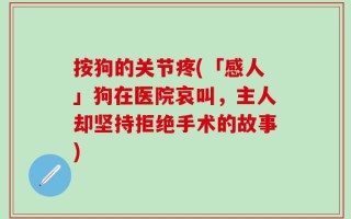 按狗的关节疼(「感人」狗在医院哀叫，主人却坚持拒绝手术的故事)