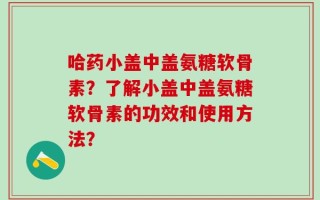 哈药小盖中盖氨糖软骨素？了解小盖中盖氨糖软骨素的功效和使用方法？