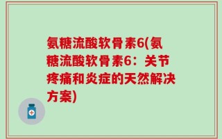 氨糖流酸软骨素6(氨糖流酸软骨素6：关节疼痛和炎症的天然解决方案)