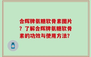 合辉牌氨糖软骨素图片？了解合辉牌氨糖软骨素的功效与使用方法？