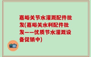 嘉峪关节水灌溉配件批发(嘉峪关水利配件批发——优质节水灌溉设备促销中)