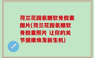 荷兰花园氨糖软骨胶囊图片(荷兰花园氨糖软骨胶囊照片 让你的关节健康焕发新生机)