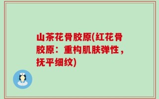 山茶花骨胶原(红花骨胶原：重构肌肤弹性，抚平细纹)