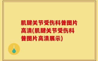 肌腱关节受伤科普图片高清(肌腱关节受伤科普图片高清展示)