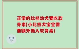 正常的比熊幼犬要吃软骨素(小比熊犬宝宝需要额外摄入软骨素)