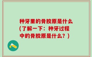 种牙里的骨胶原是什么(了解一下：种牙过程中的骨胶原是什么？)