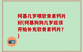 柯基几岁喂软骨素钙片好(柯基狗狗几岁应该开始补充软骨素钙片？)