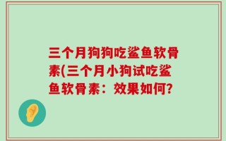 三个月狗狗吃鲨鱼软骨素(三个月小狗试吃鲨鱼软骨素：效果如何？