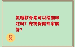 氨糖软骨素可以给猫咪吃吗？宠物保健专家解答？