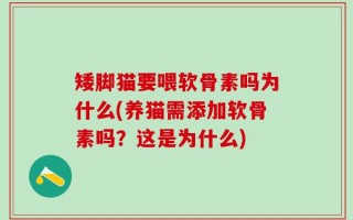 矮脚猫要喂软骨素吗为什么(养猫需添加软骨素吗？这是为什么)