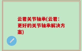 云君关节轴承(云君：更好的关节轴承解决方案)