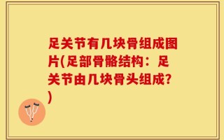 足关节有几块骨组成图片(足部骨骼结构：足关节由几块骨头组成？)