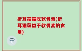 折耳猫猫吃软骨素(折耳猫获益于软骨素的食用)