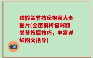 猫髋关节按摩视频大全图片(全面解析猫咪髋关节按摩技巧，丰富详细图文指导)