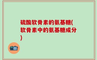 硫酸软骨素的氨基糖(软骨素中的氨基糖成分)