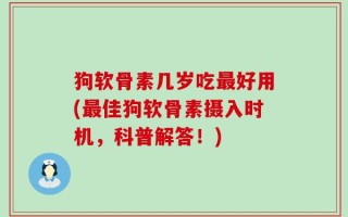 狗软骨素几岁吃最好用(最佳狗软骨素摄入时机，科普解答！)