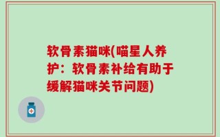 软骨素猫咪(喵星人养护：软骨素补给有助于缓解猫咪关节问题)