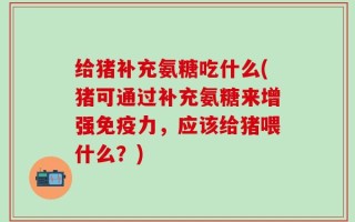 给猪补充氨糖吃什么(猪可通过补充氨糖来增强免疫力，应该给猪喂什么？)