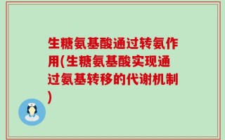 生糖氨基酸通过转氨作用(生糖氨基酸实现通过氨基转移的代谢机制)
