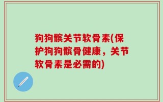 狗狗髌关节软骨素(保护狗狗髌骨健康，关节软骨素是必需的)
