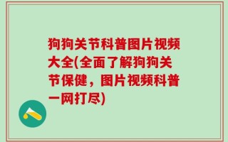 狗狗关节科普图片视频大全(全面了解狗狗关节保健，图片视频科普一网打尽)