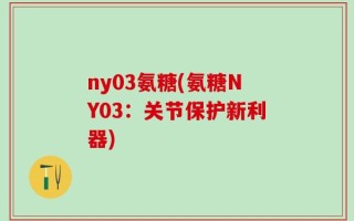 ny03氨糖(氨糖NY03：关节保护新利器)