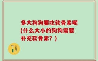 多大狗狗要吃软骨素呢(什么大小的狗狗需要补充软骨素？)