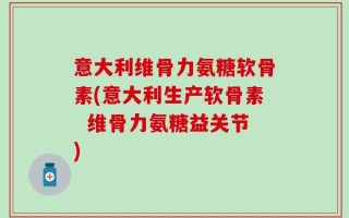 意大利维骨力氨糖软骨素(意大利生产软骨素  维骨力氨糖益关节)