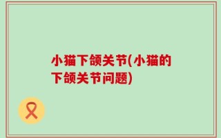 小猫下颌关节(小猫的下颌关节问题)
