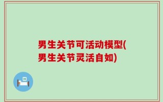 男生关节可活动模型(男生关节灵活自如)