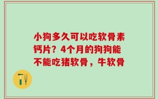 小狗多久可以吃软骨素钙片？4个月的狗狗能不能吃猪软骨，牛软骨