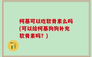 柯基可以吃软骨素么吗(可以给柯基狗狗补充软骨素吗？)
