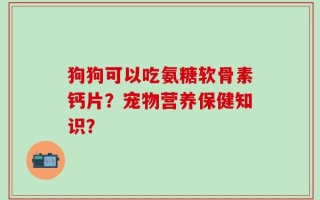 狗狗可以吃氨糖软骨素钙片？宠物营养保健知识？